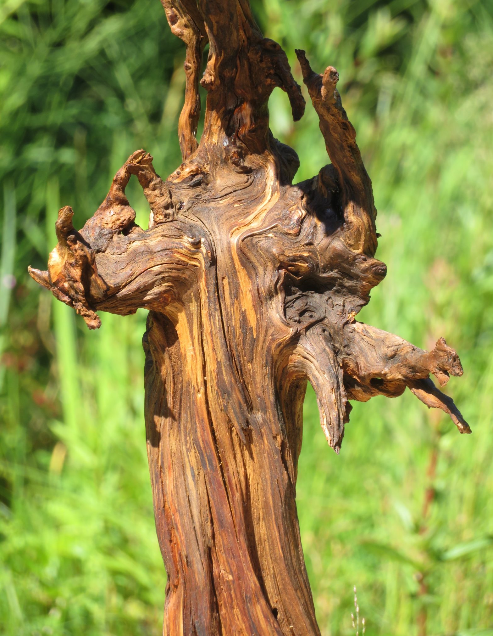 Objekte aus Holz - Holzskulpturen - Holzschalen - Kunstwerke der Natur